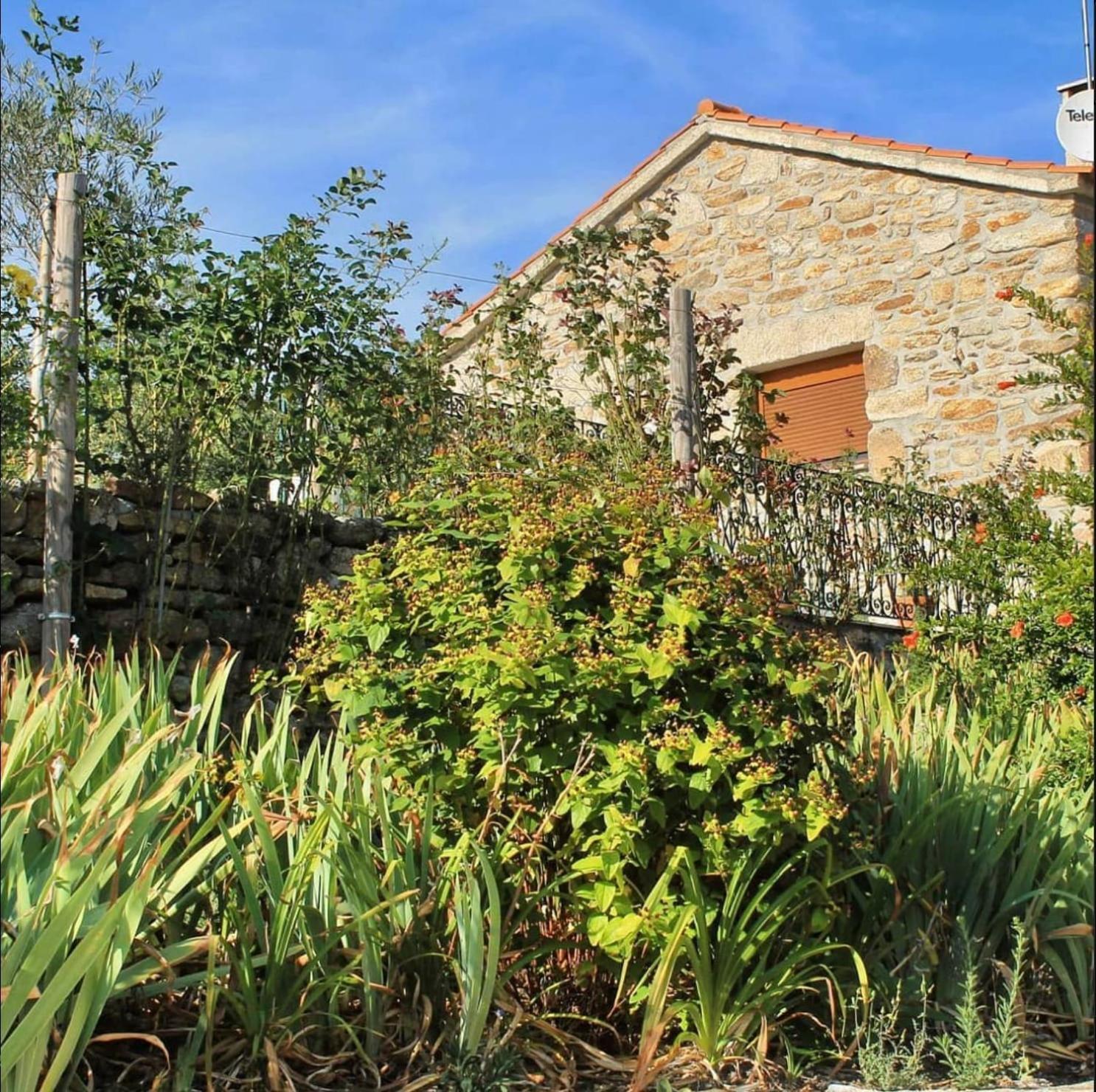 Lirios Da Granja - Casa De Campo Екстериор снимка